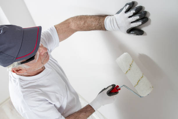 Best Drywall Removal and Disposal  in Reading, PA